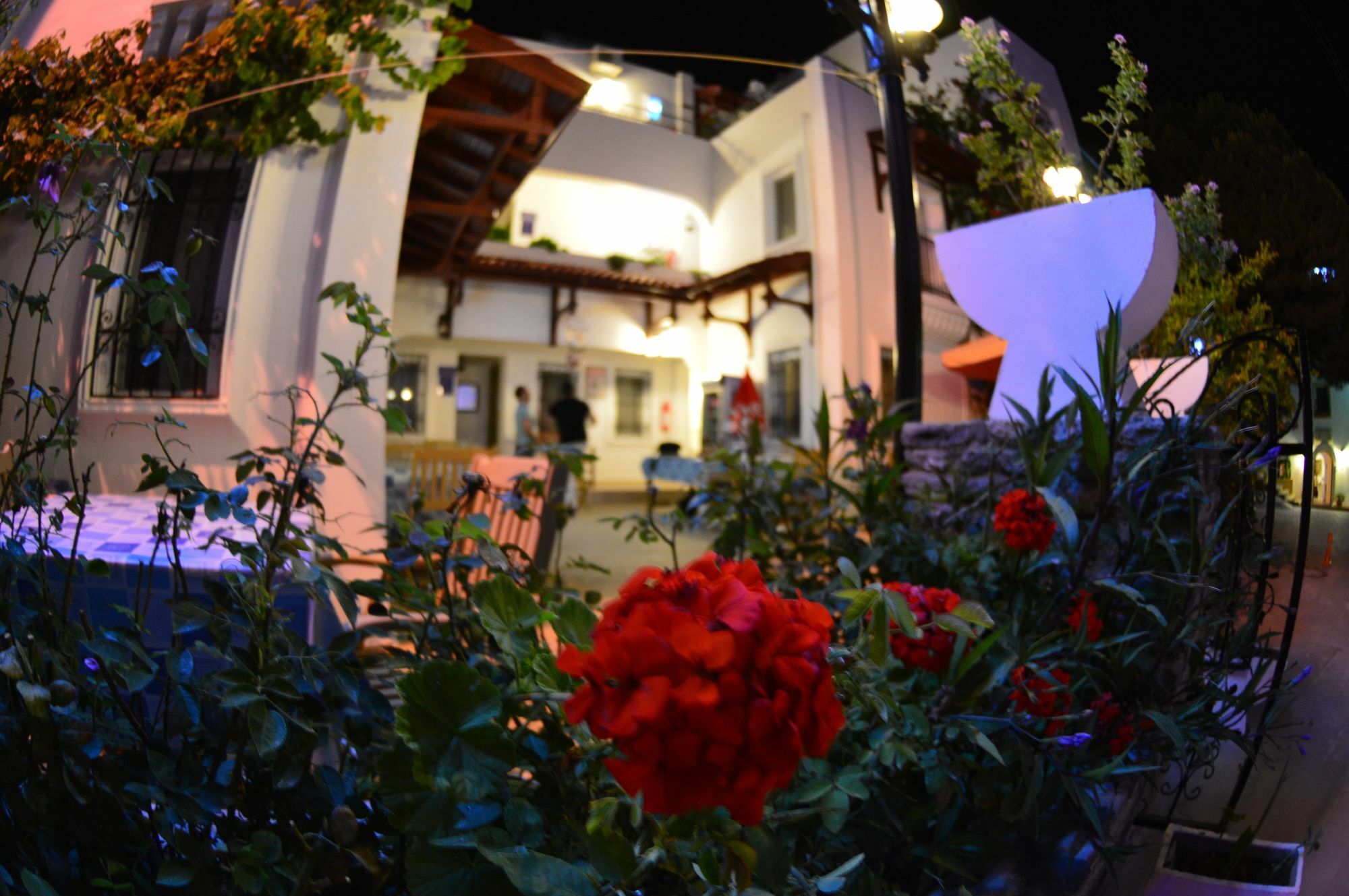 Istankoy Butik Pansiyon Bodrum Екстериор снимка